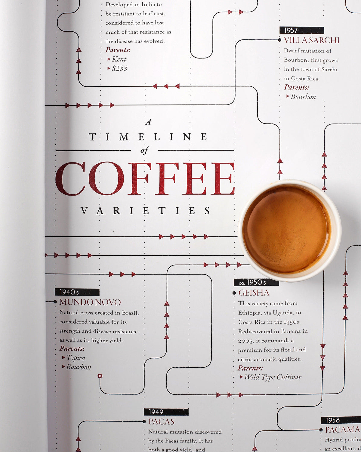 Variety Family Tree Timeline Print